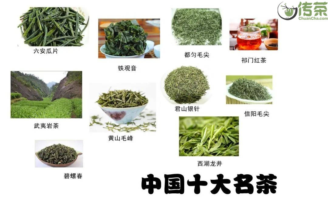 武夷岩茶,祁门红茶,都匀毛尖,铁观音,六安瓜片列为中国十大名茶